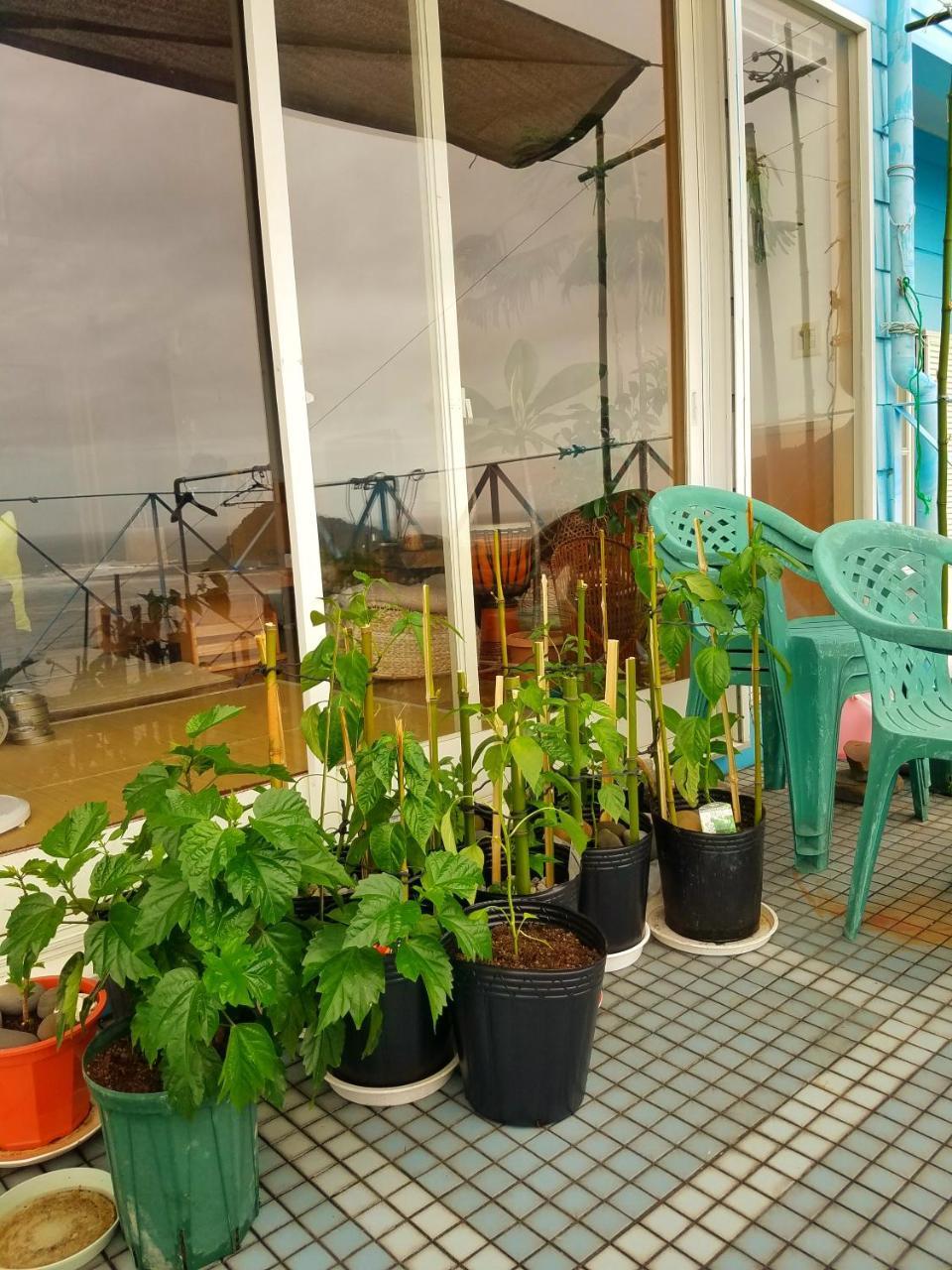 Ocean Home Guest House 미야자키 외부 사진